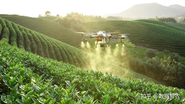 我国农业科技创新整体水平迈入世界第一方阵