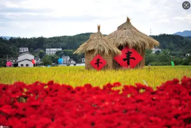 农业农村部关于修订《全国农牧渔业丰收奖奖励办法》的通知