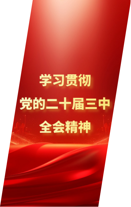 学习贯彻党的二十届三中全会精神