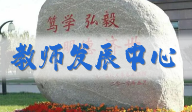 师资培训与发展系统